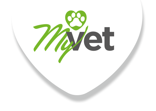 Kartoteka - MyVet Zvezdara